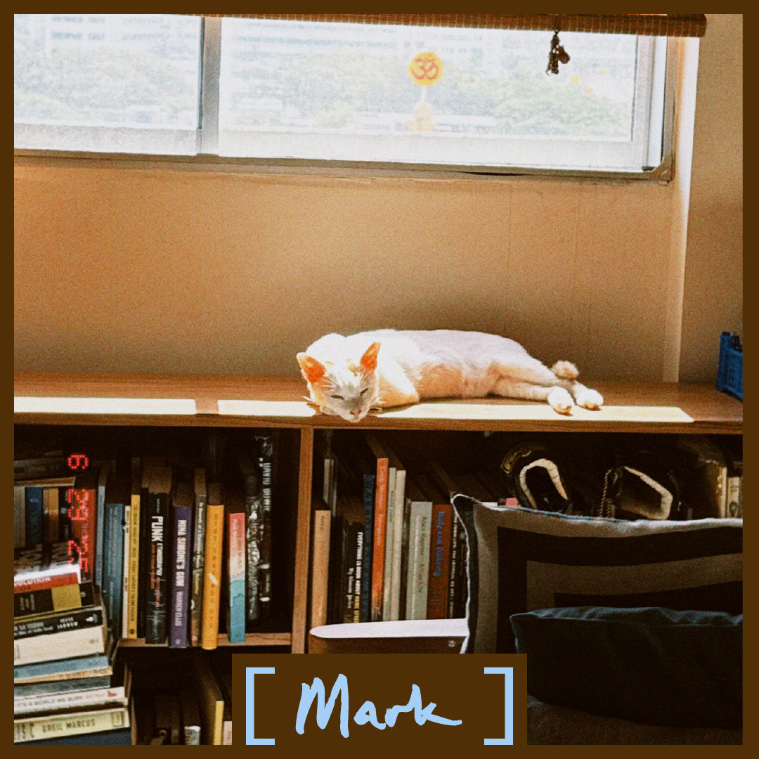 I Am [Mark] & These Are My Art Books – Thing Books