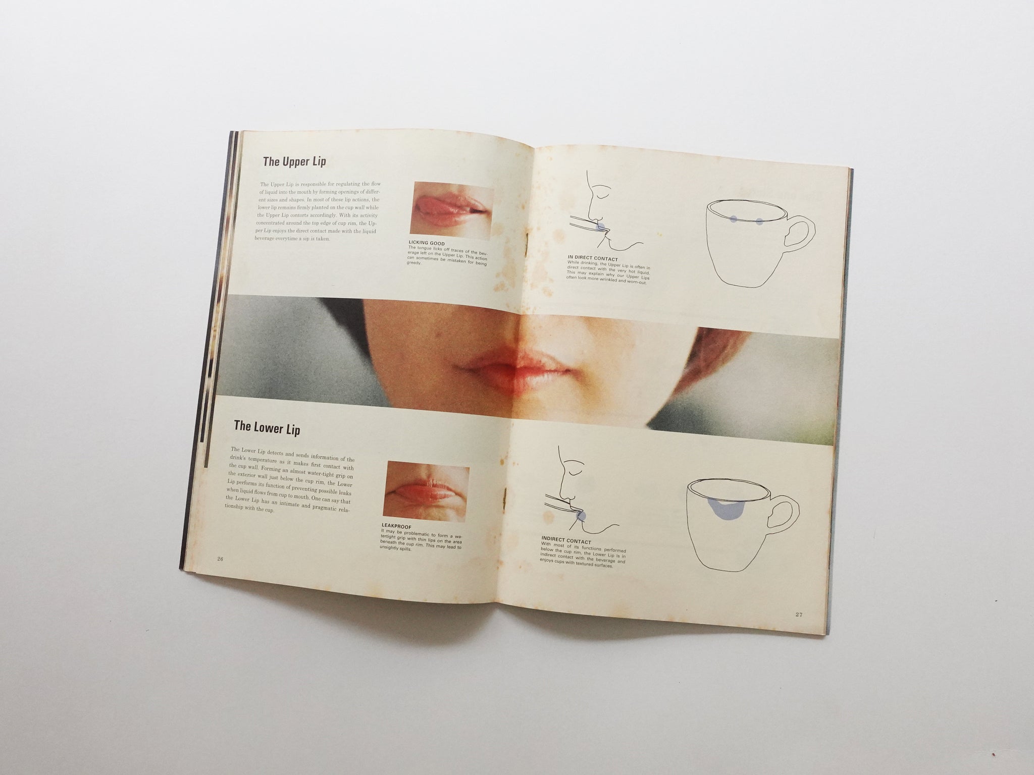 Science of the Secondary: Cup